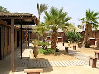 Egitto 2010
